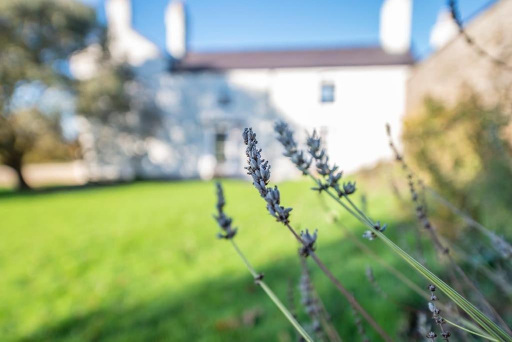Georgian Country House -Panoramic Views -Sleeps 12 里辛 外观 照片